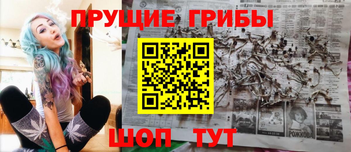 Галлюциногенные грибы Psilocybe Верхний Уфалей